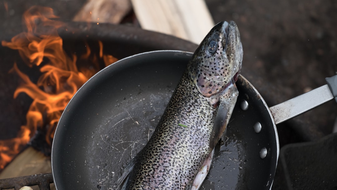 Photo Campfire cooking